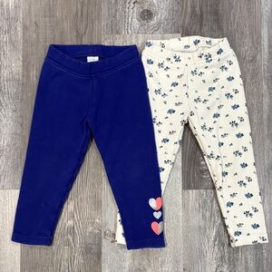 Baby GAP Blue and Floral Toddler Lined Leggings Set